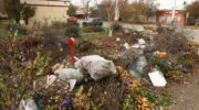 Мусор в Армавире