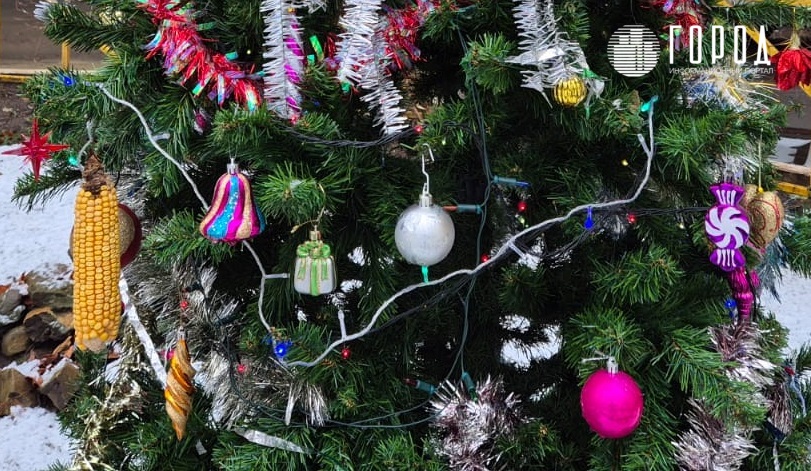 Какие законы вступят в силу в России с января 2026 года