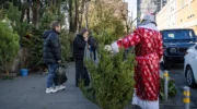 Новогодние ярмарки Армавир