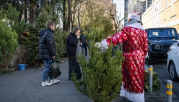 Новогодние ярмарки Армавир