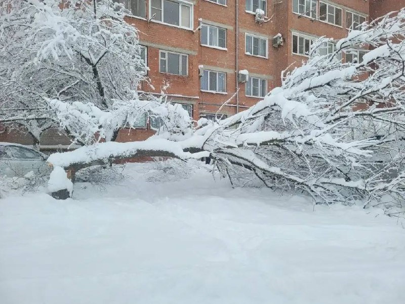 Снег в Армавире