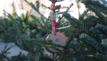 Новогодняя ель