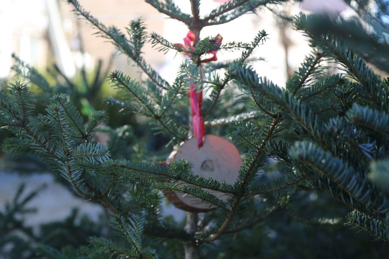 Новогодняя ель