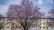 Проверка недвижимости в Краснодаре
