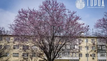 Проверка недвижимости в Краснодаре